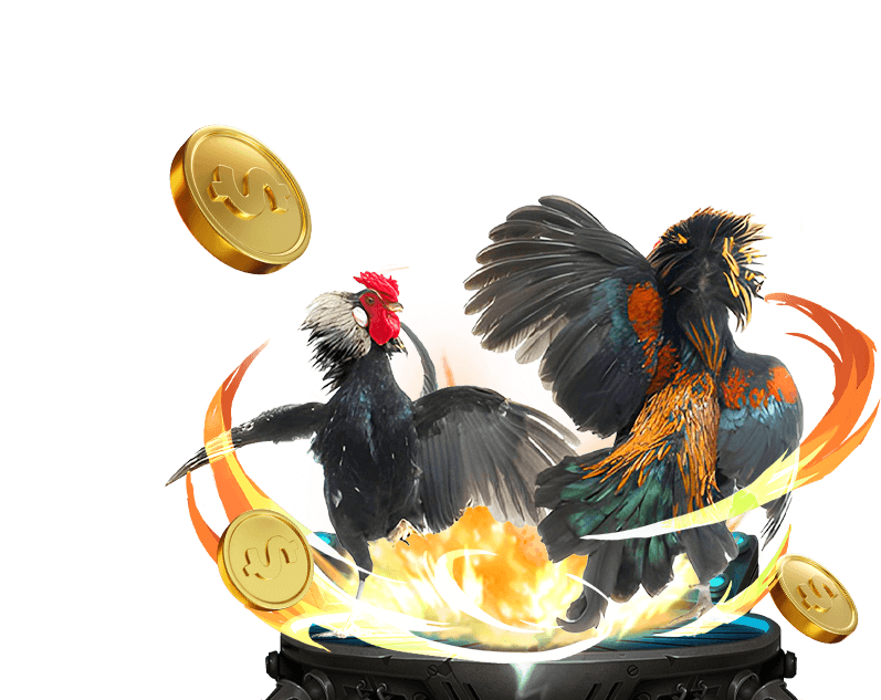 Các phương thức thanh toán tại 999win