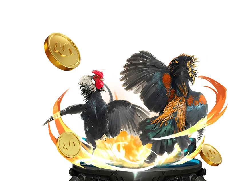 Các phương thức thanh toán tại 999win