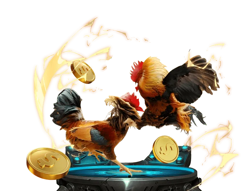 Đá gà trực tuyến FABET với các trận đấu trực tiếp từ trường gà.