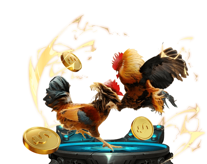 Các kênh liên hệ hỗ trợ 999win